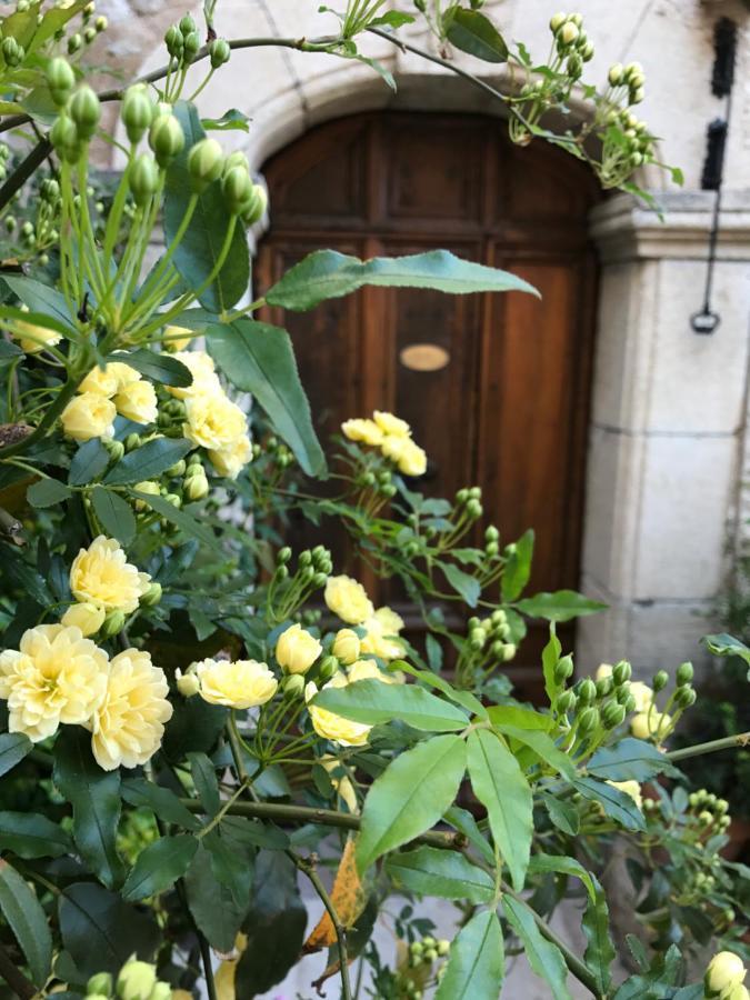 Muller'S Bed & Breakfast バルジュモン エクステリア 写真
